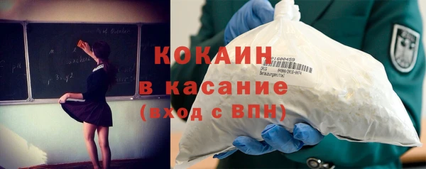 индика Лихославль