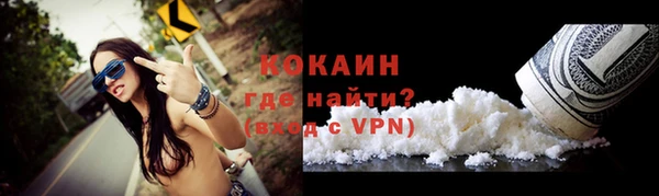 индика Лихославль