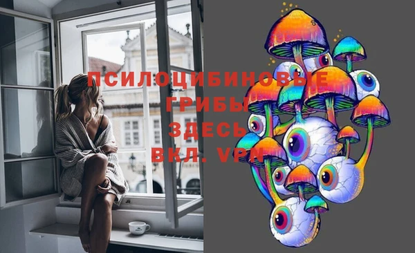 ГАЛЛЮЦИНОГЕННЫЕ ГРИБЫ Ладушкин