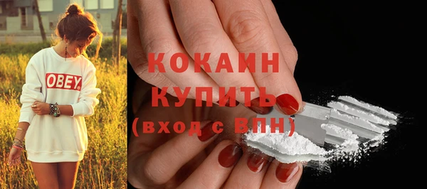 прущий лед Липки
