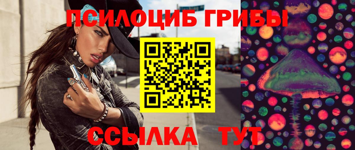 Галлюциногенные грибы GOLDEN TEACHER  где продают наркотики  Псилоцибиновые грибы GOLDEN TEACHER  Дзержинск 