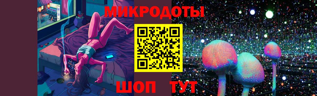Псилоцибиновые грибы Psilocybine cubensis Дзержинск