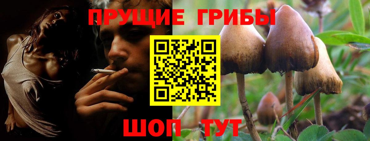 Галлюциногенные грибы мухоморы Дзержинск