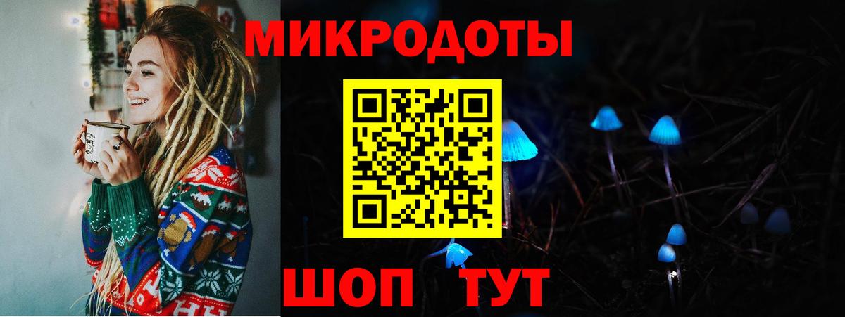 Псилоцибиновые грибы Psilocybine cubensis  Псилоцибиновые грибы GOLDEN TEACHER  Вход с VPN  Дзержинск 